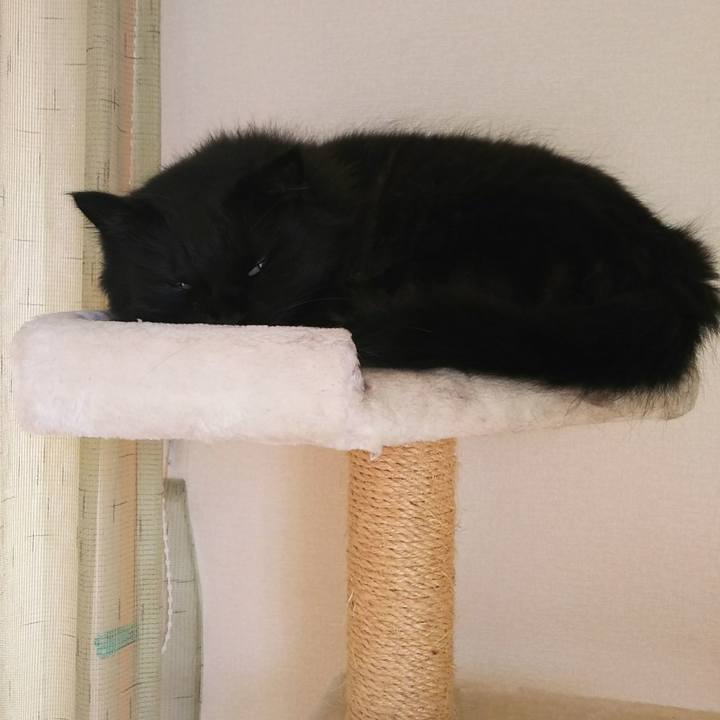 657d5c79 b1aa 409e bc5b 8ee342e65a96 1539910661841