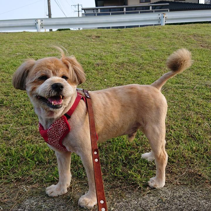 657d9421 4644 4abc b35f 026d1fc196e2 1593165072727