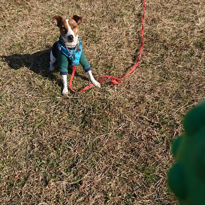 657d95b8 b633 4de4 aff3 bd3543cefd2e 1609661602229