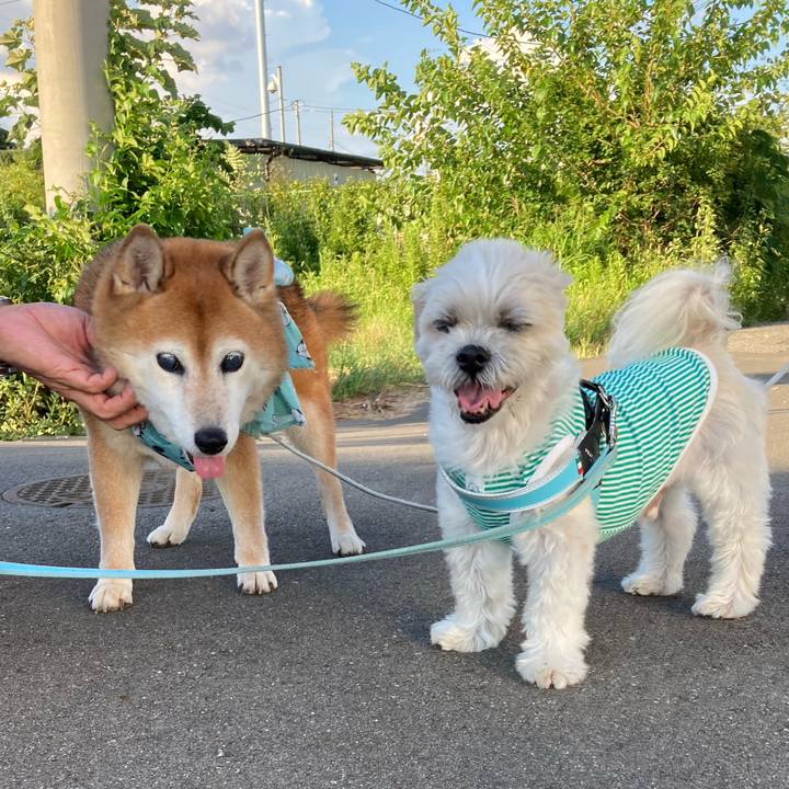 657db832 ae2f 401e b99a 4fad3e8f58dd 1723884551691