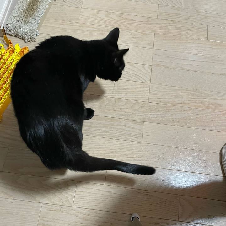 657dbaec e229 4cc8 849f 035b72db2018 1765200220149