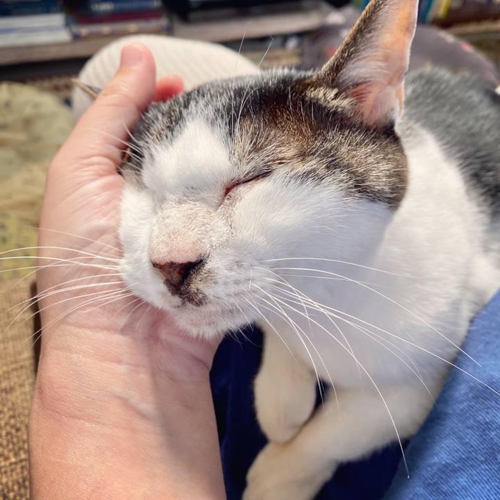 657dc679 2c95 4768 8516 56fc80ed5c42 1603515968284