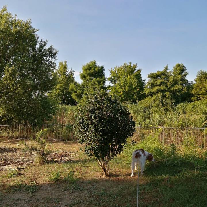 657dd9bf a151 412e 99bf eb2f8c7de070 1597794724079