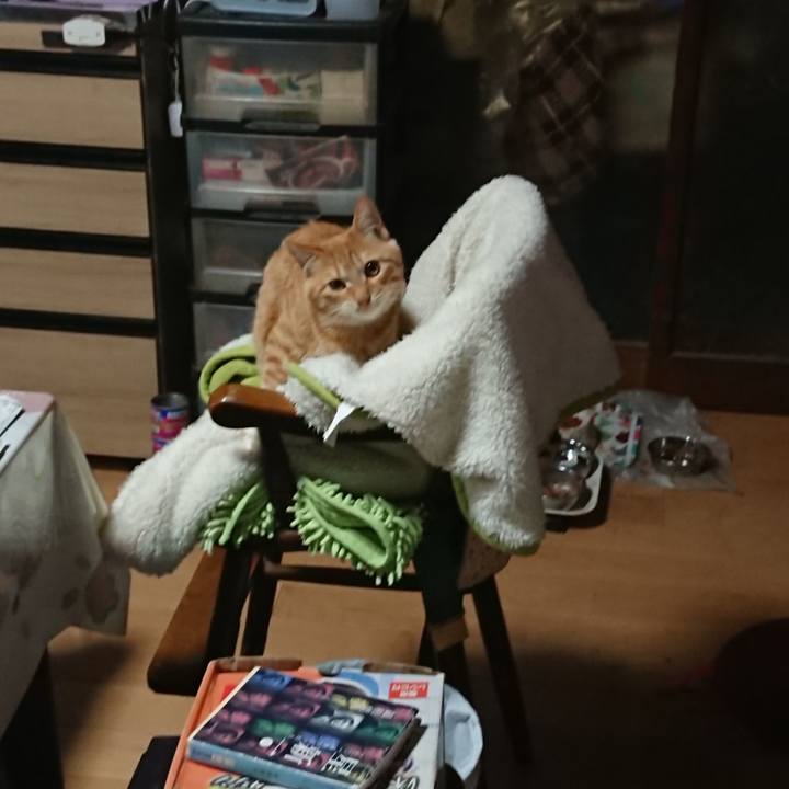 657dd9ea 3bbe 4097 ad1c 5d0744ba8878 1637360482692