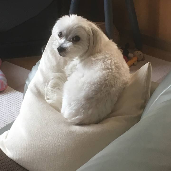 657e1598 9f69 4e98 8efd bec88513e62f 1528963337017