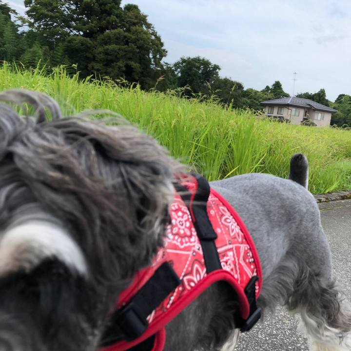 657e17a8 4c24 490e a3d8 31b7e529dd26 1566612752219