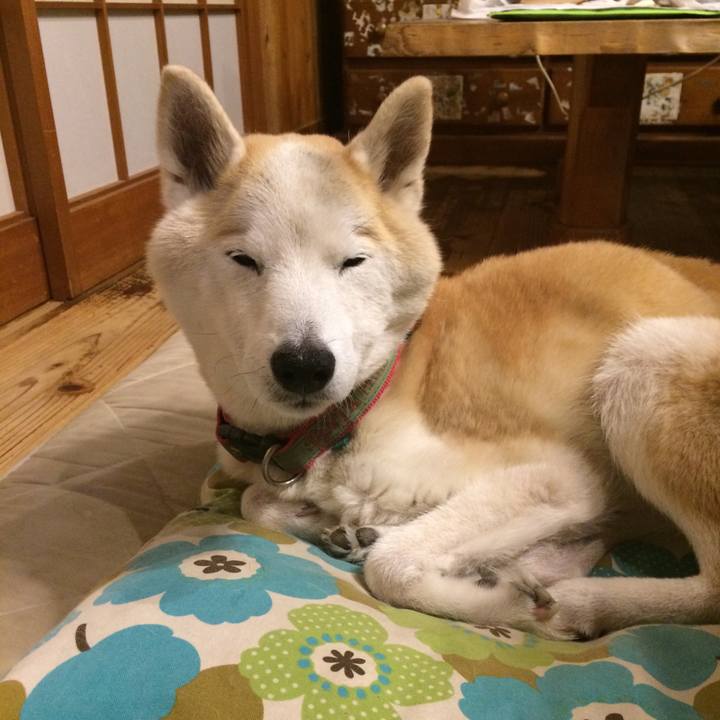 657e35ed e129 4e6b 8de6 a291a510e3f2 1570969468420