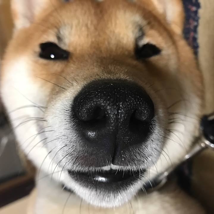 657e5252 4a91 4f1a bbc0 89b5b39376ae 1524314899337