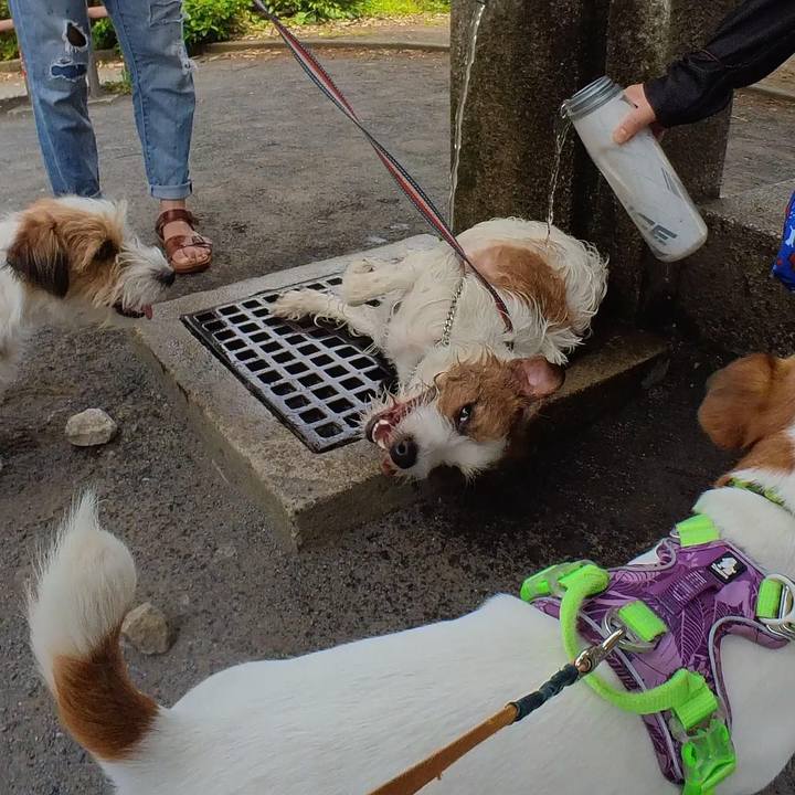 657e7096 0a2f 49b8 a33d 1b1c8e04ceb1 1685317148106