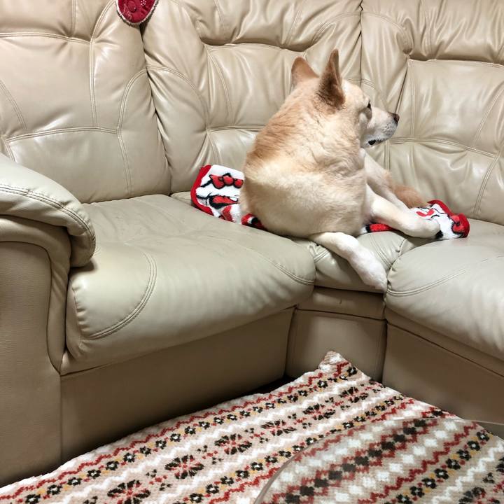 657ec4e6 2724 4007 b21c 451564367b16 1547030936734