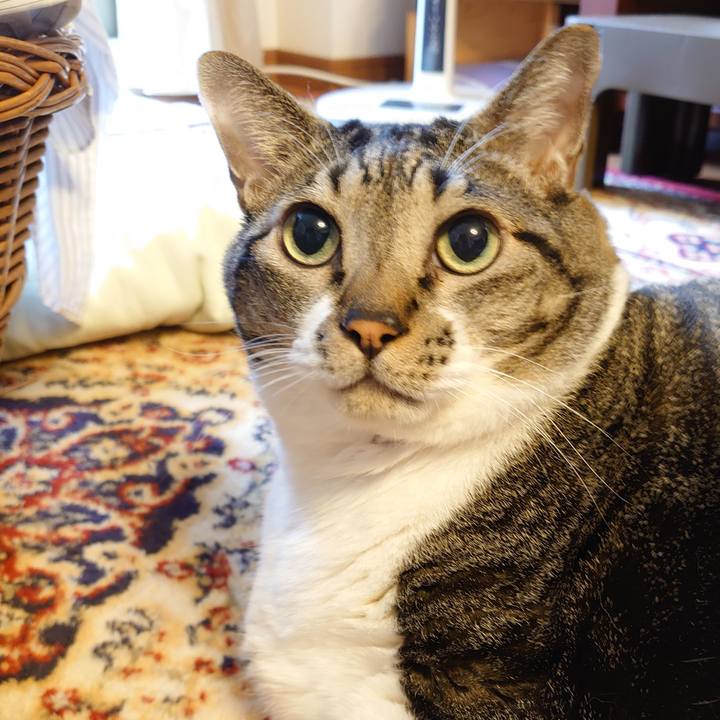 657ec56e 6ff0 4ba7 bb4a f2c0f8b57dac 1601861642679