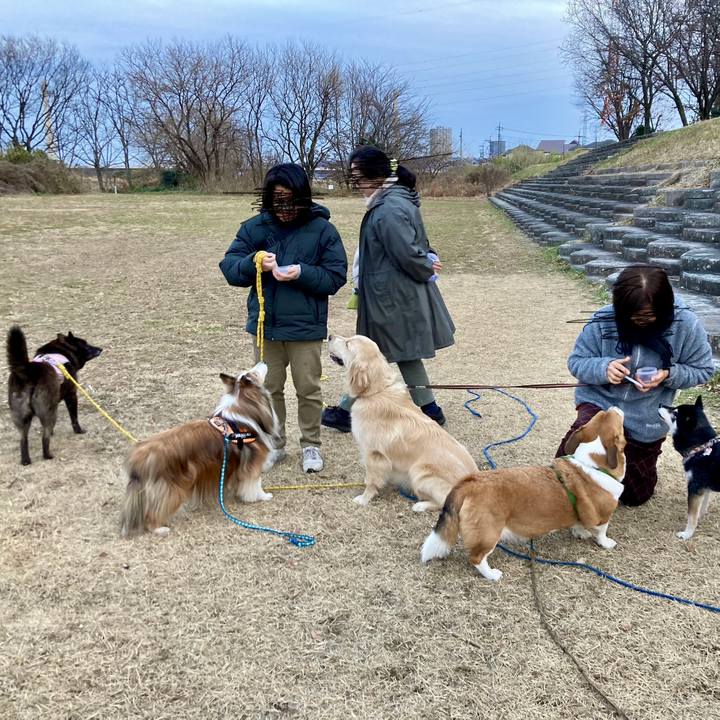 657ec77d 2ae6 45e7 a10f 5359a58a2433 1704934725584