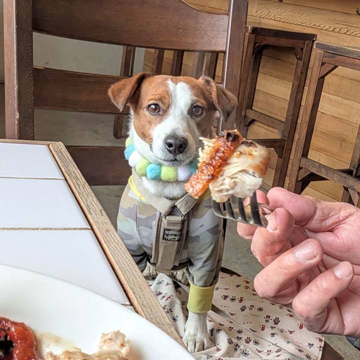 657ec8df 570a 4d52 b800 d04ae86f99cd 1742439712153