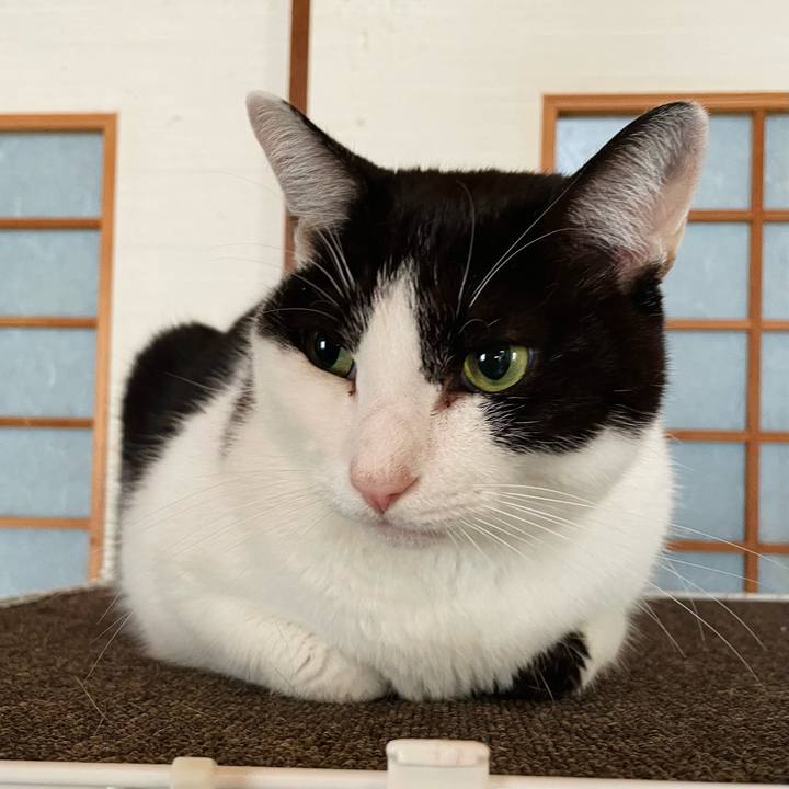 657ef0c7 0c8b 4fdc b61a cc1020f2b1e3 1637718435881