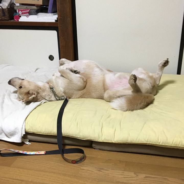 657efa33 f070 42b9 af21 7046b5ff0ff3 1537800093217