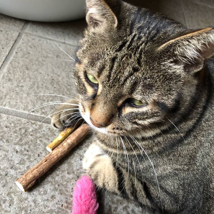 657f2e92 f360 483e 82e9 55fbe0a49b19 1567164073294