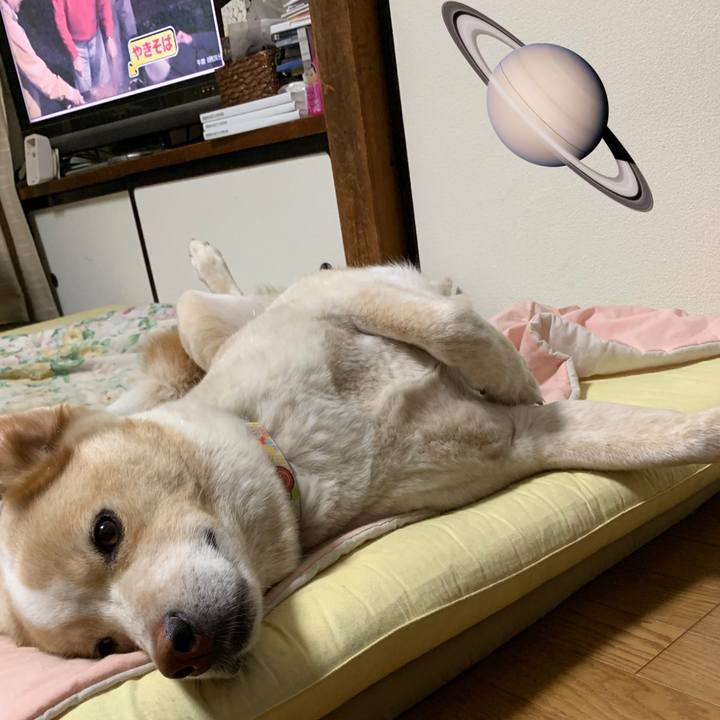 657f5209 6991 434a b81e 35883ec10477 1570548684755