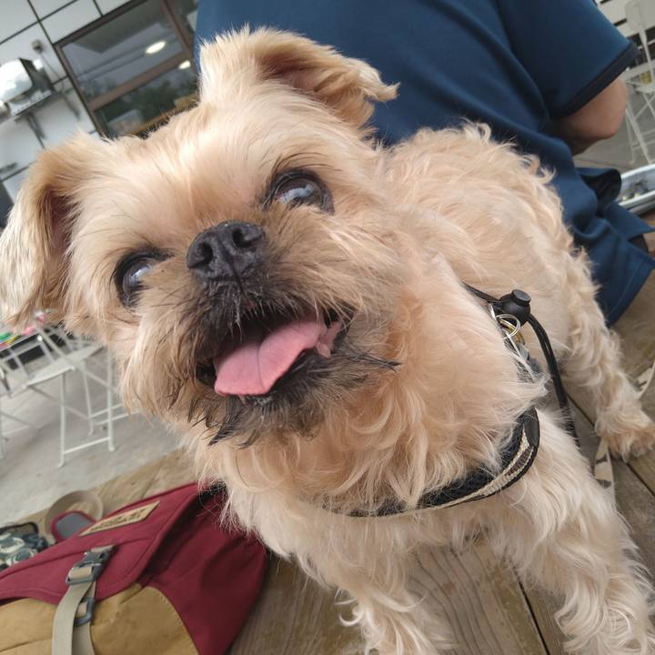 657fcde0 5c7e 4ca0 8740 6a45d4381439 1657861589860