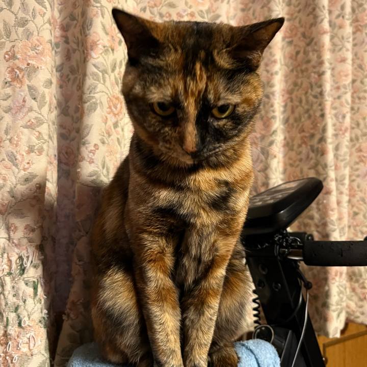 657fd5e2 9b2b 4750 93f3 8828c8989dcf 1748253768536