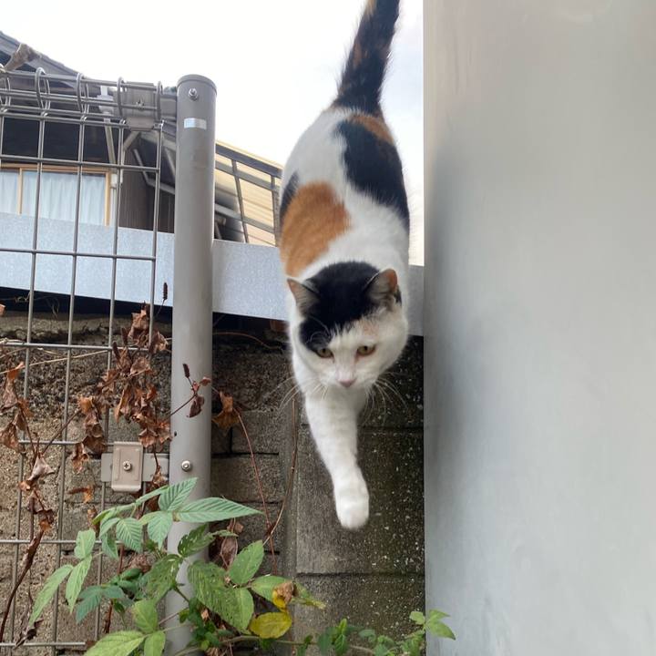 65802ed4 435a 4014 aaa2 87cc3dae0201 1641682798153