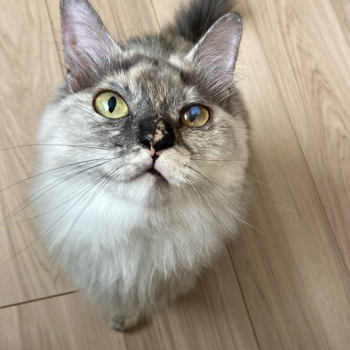 658036bc 6f51 49ea aef8 983045d9f172 1748575794731