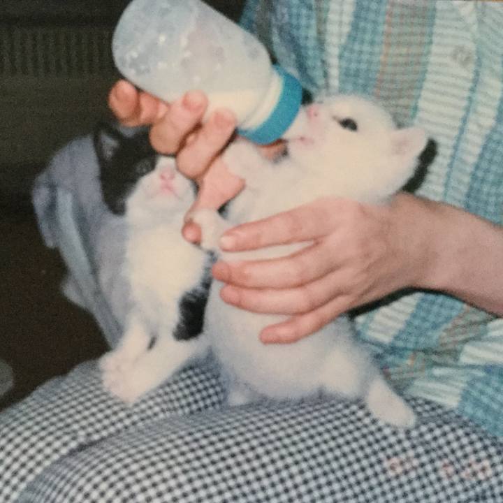 65803a90 c94b 4b0a ab54 d95bdf5952d0 1515289764523