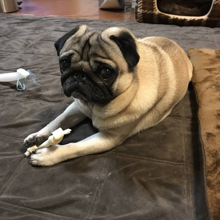 65807360 355b 4d16 a255 7a129458377d 1512128151558