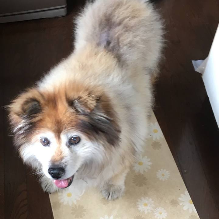 658087ff 9587 405d bbd5 06b9d6ac62d7 1600105222474