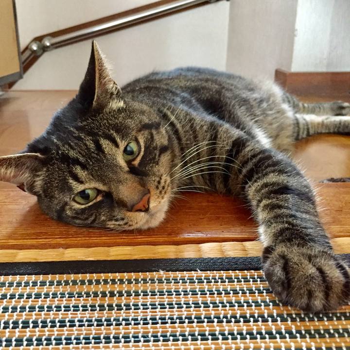 6580c503 2ecc 4d5e 80cd 15cb06bb00e9 1591690731423