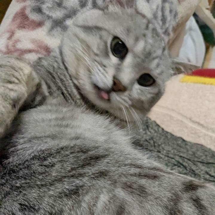 6580d01c 6242 4c5a a131 fbeffbf3b9b9 1740149052136