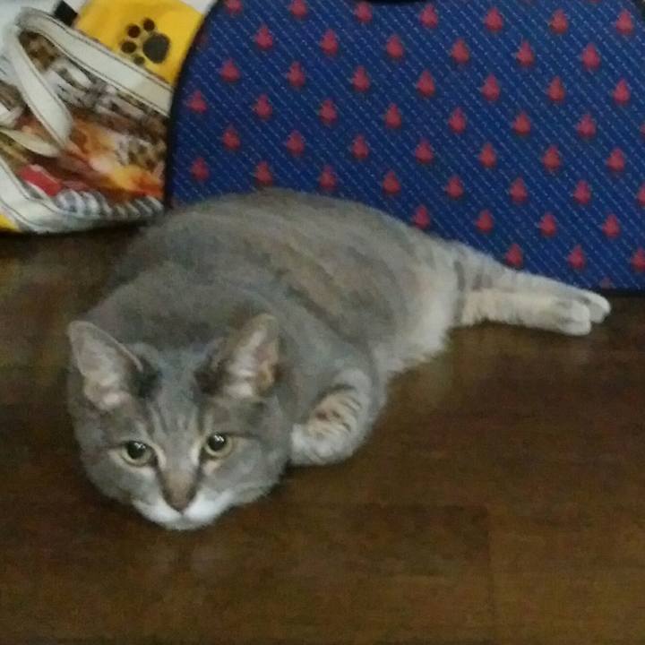 6581032f 3fb9 449b b768 87e8c791c18a 1526488849938