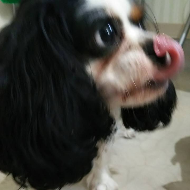 65813ca5 97b3 4390 9298 ee2fa14d46d2 1580413600332