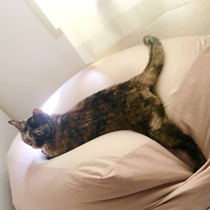 6581a628 142e 489d a286 fa4cbac77113 1538237378290