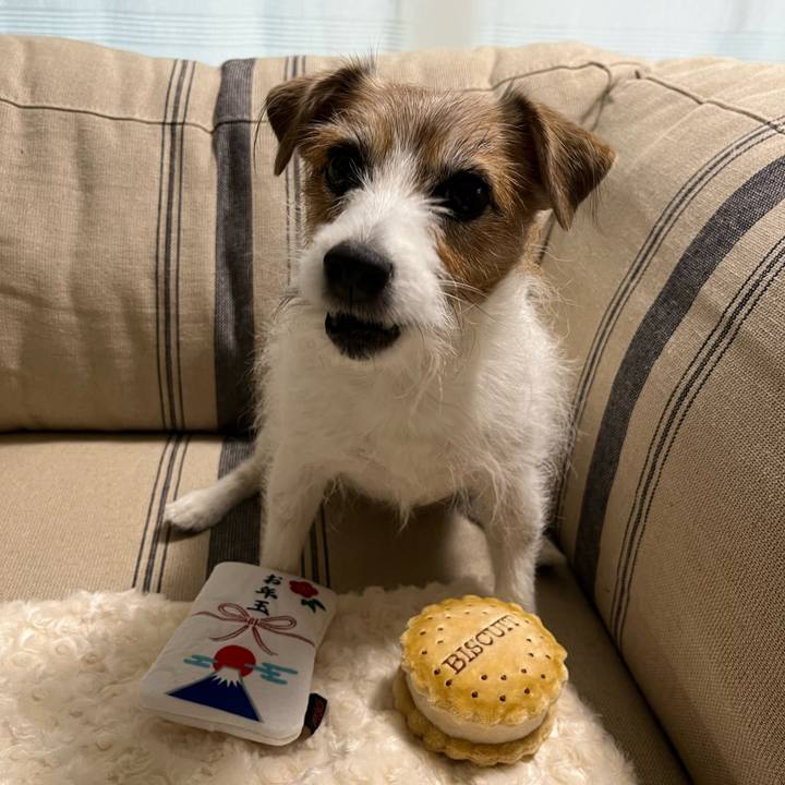 6581dace 4a2e 4e98 a691 d5be3f652f5b 1731279921341