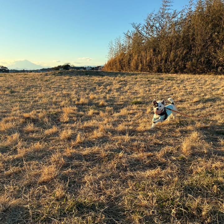 6581e221 2902 41ee b02b 05d869e3fd8b 1769154709161