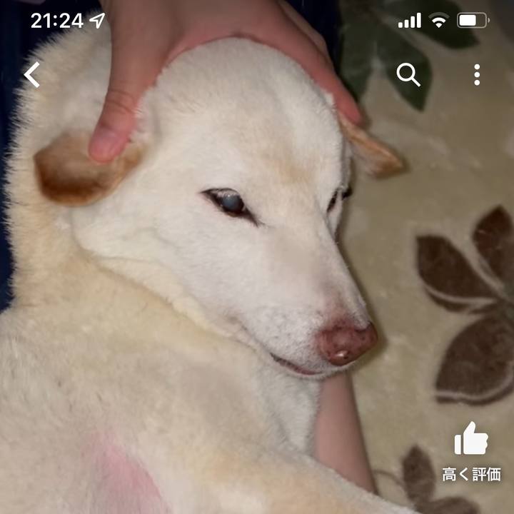 6581faa0 db11 46d4 81b7 887026000670 1669465528355