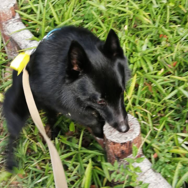 6582155b f19d 4259 8bf7 83f9cc6eaf3c 1664576284289