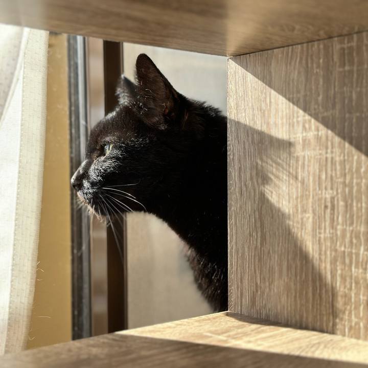 65822f93 733d 44a6 a9a2 6011704d8c88 1698713416518