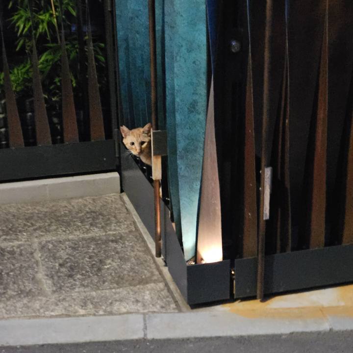 65829f8d bf61 4718 ad62 b8792c7f87d4 1718423245790