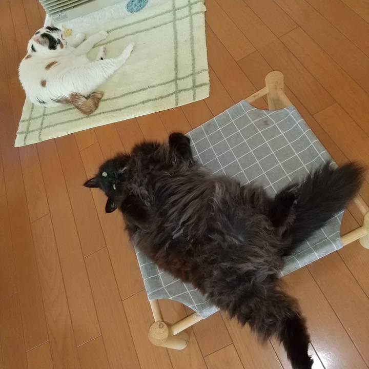 6582a036 8e43 4a06 a582 73566c13e3d4 1712789262651