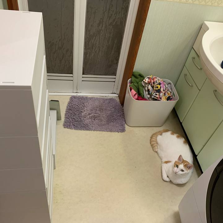 6582a97b 4b6f 4aec a7a0 c9f3ea30dbdc 1629812492520