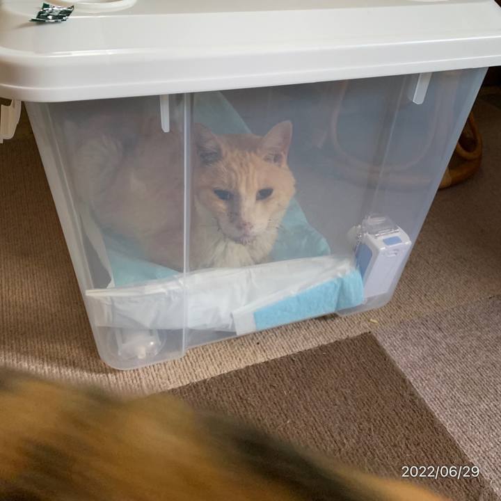 6582c849 e094 490c af99 192be08fec0b 1656454884353