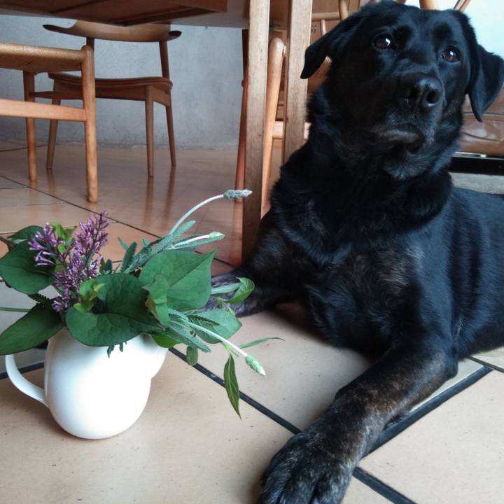 6582d486 e59f 41f9 9189 515096dcb59a 1587891396231