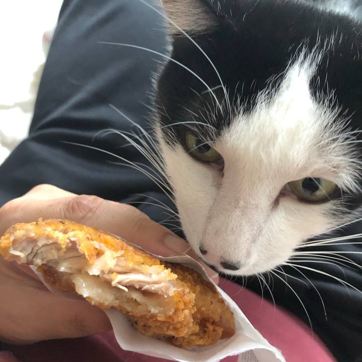 6583102e 4dc8 4db2 b644 fbf3d9809ba6 1565765539126