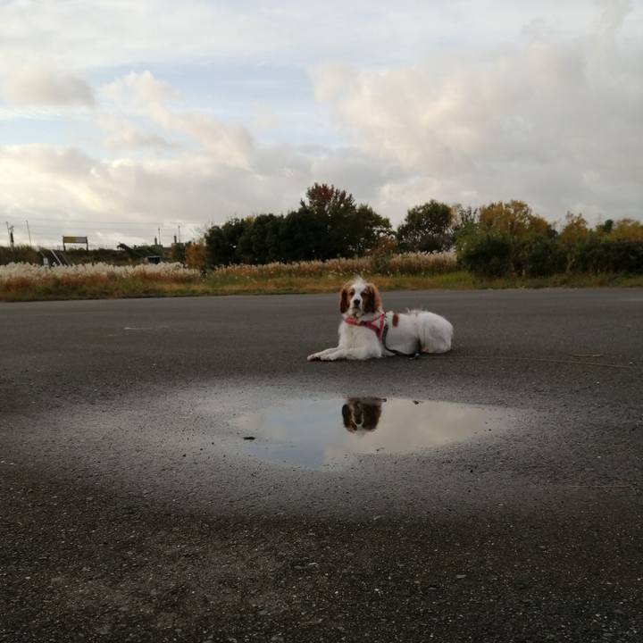 65831041 5622 49f3 afc4 341a14ddf5b5 1574941621188