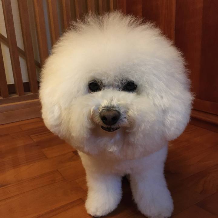 65832d8f fa2d 49c4 945d 03cf1589e93e 1610941467700