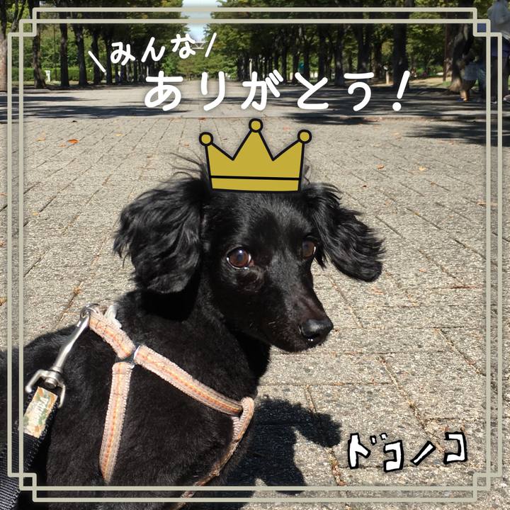 65834874 3153 4660 b977 ad2a5526b0a6 1622852958903