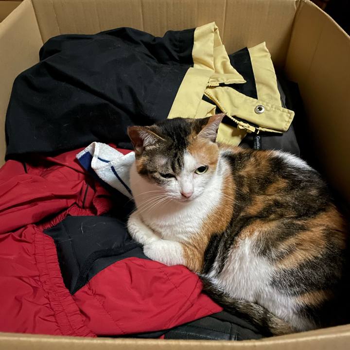 658368d8 d96e 493f 804a c5325d58032b 1685878411430