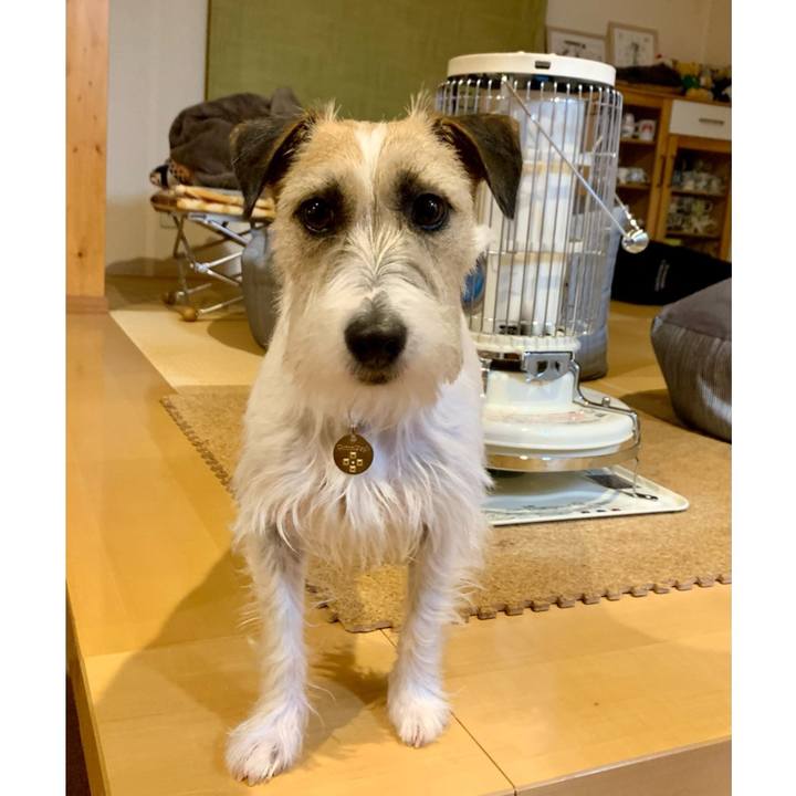 658375ea a39b 4c1d 963e 8789b4036768 1645277707006