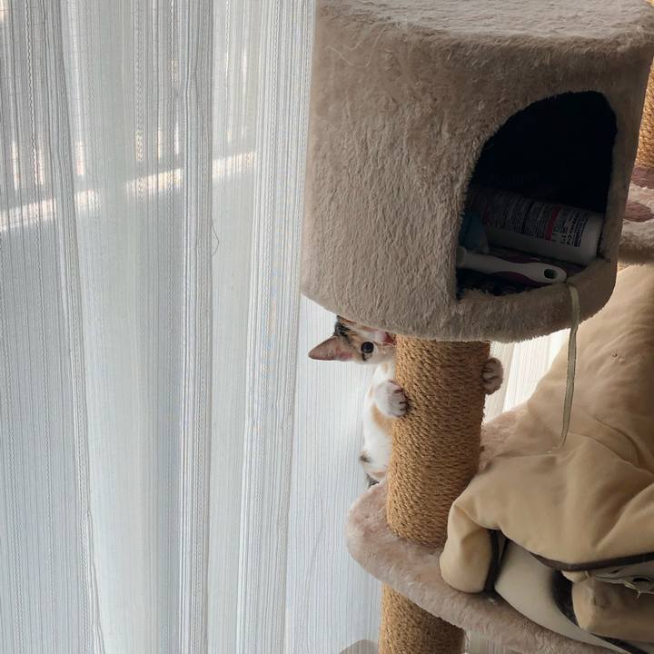 6583a251 2f68 4a2e af8d 47093325ad80 1564716360573